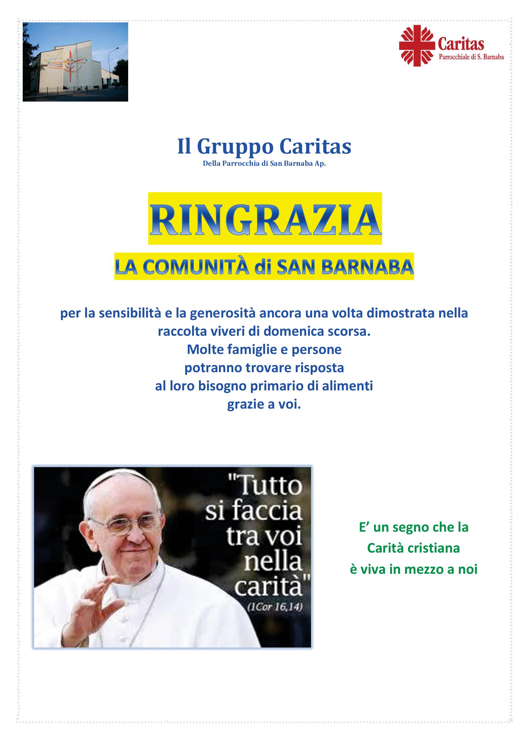 Ringr Raccolta Caritas febb 161